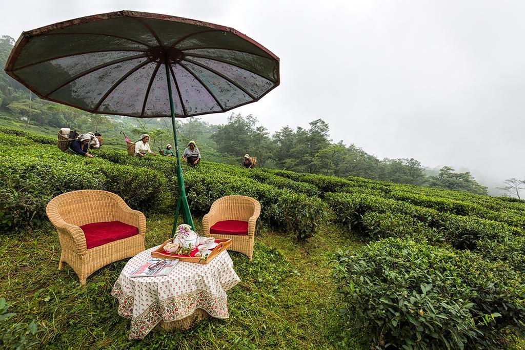 Ging Tea House Guest House Darjeeling  Ngoại thất bức ảnh