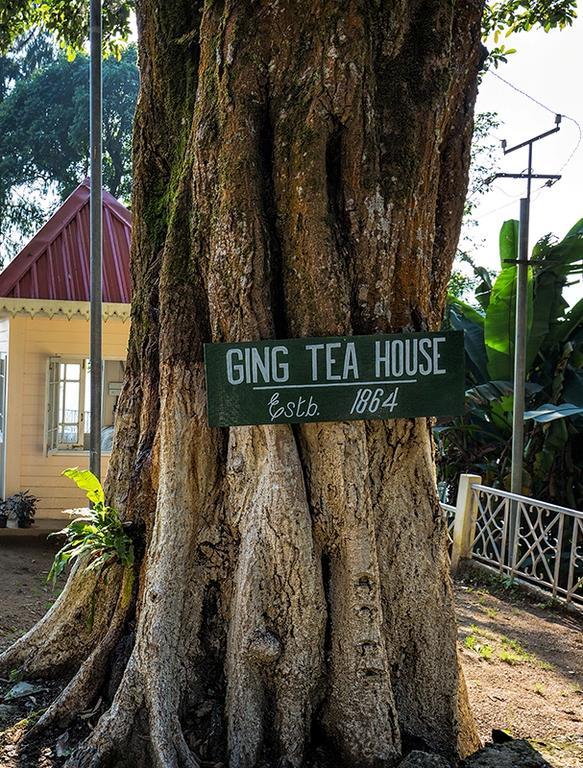 Ging Tea House Guest House Darjeeling  Ngoại thất bức ảnh