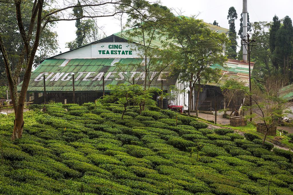 Ging Tea House Guest House Darjeeling  Ngoại thất bức ảnh